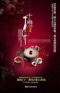 十二樂坊中式地產(chǎn)廣告設計藝術(shù)賞析